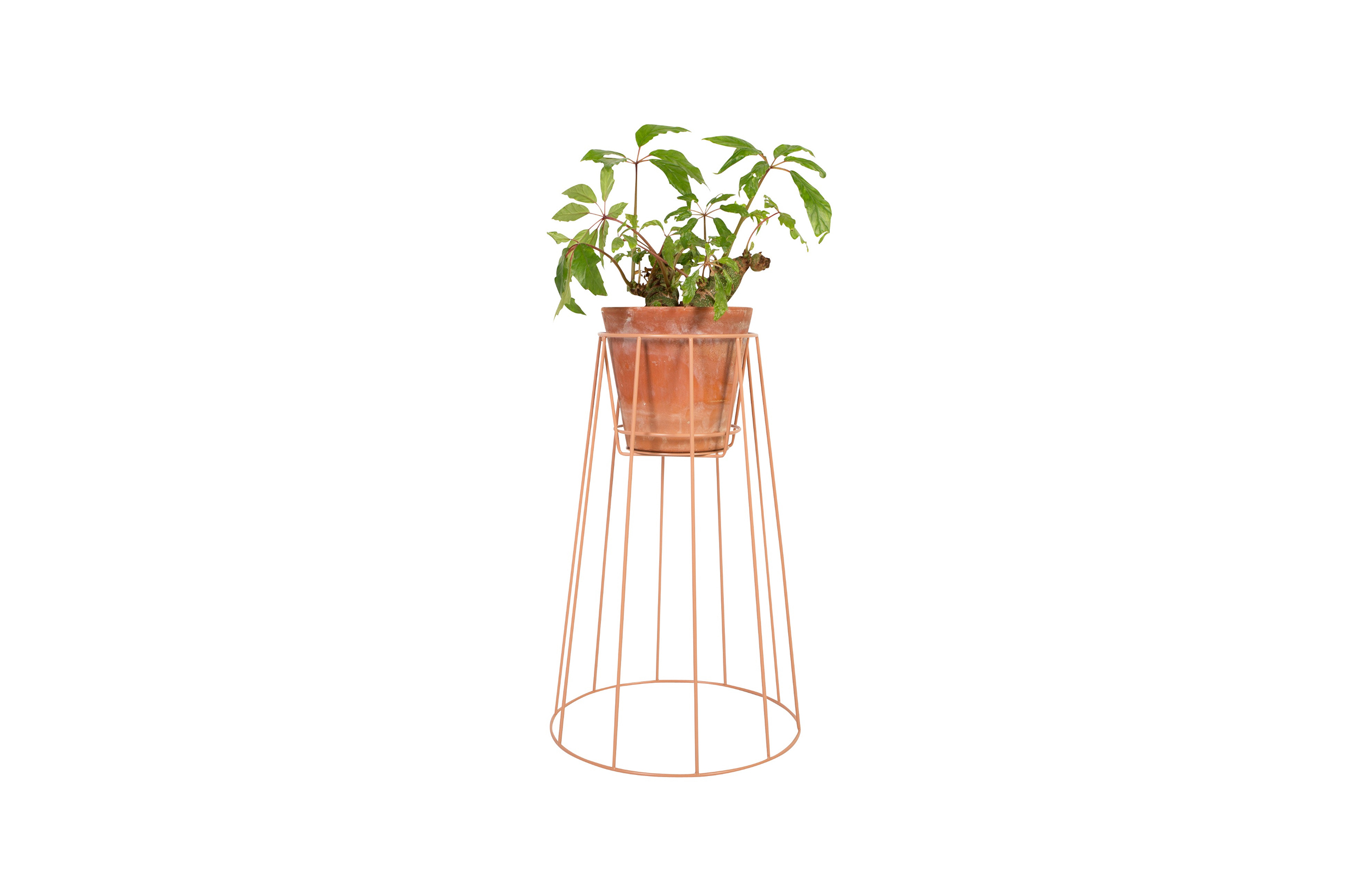 OB体育APP官网下载 - 附件|花器|办公家具|中国有限公司家具|西布莉植物架