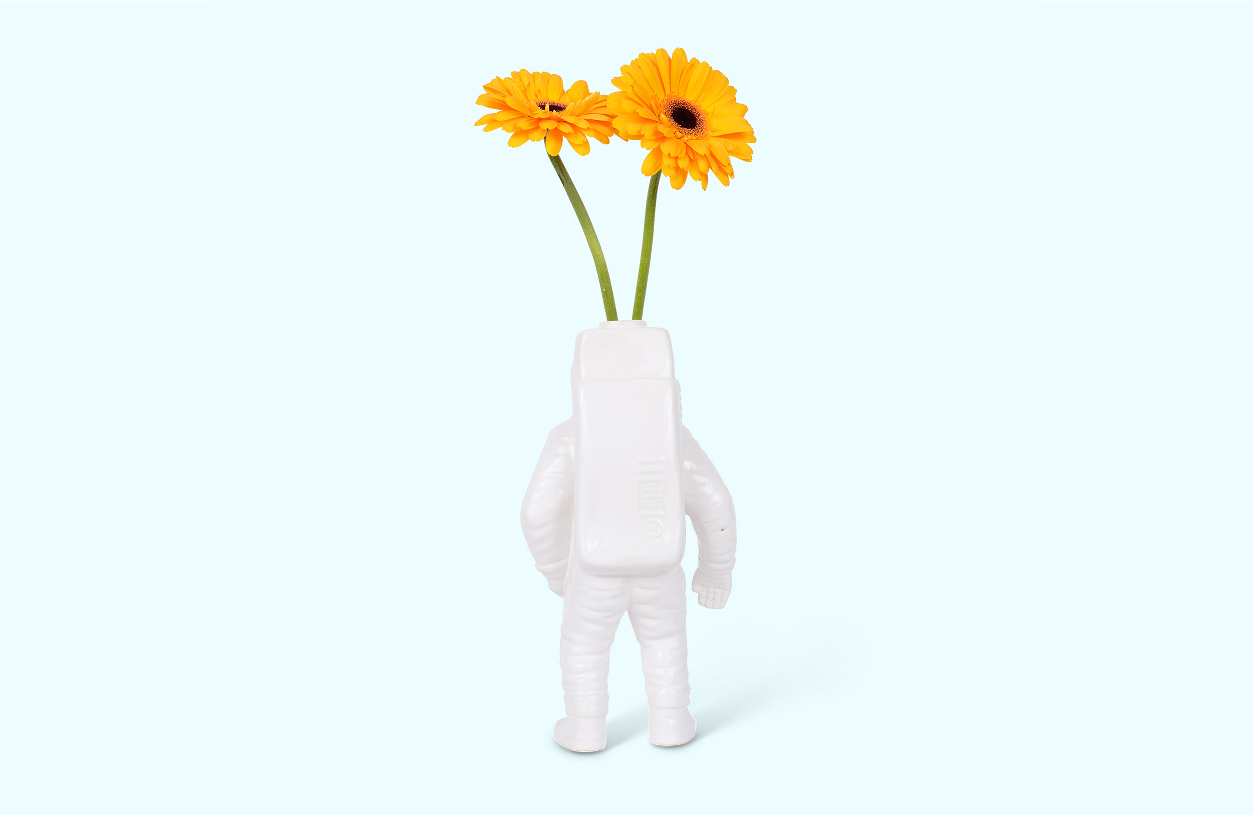 OB体育APP官网下载 - 附件|花器|办公家具|中国有限公司家具|宇航员花瓶